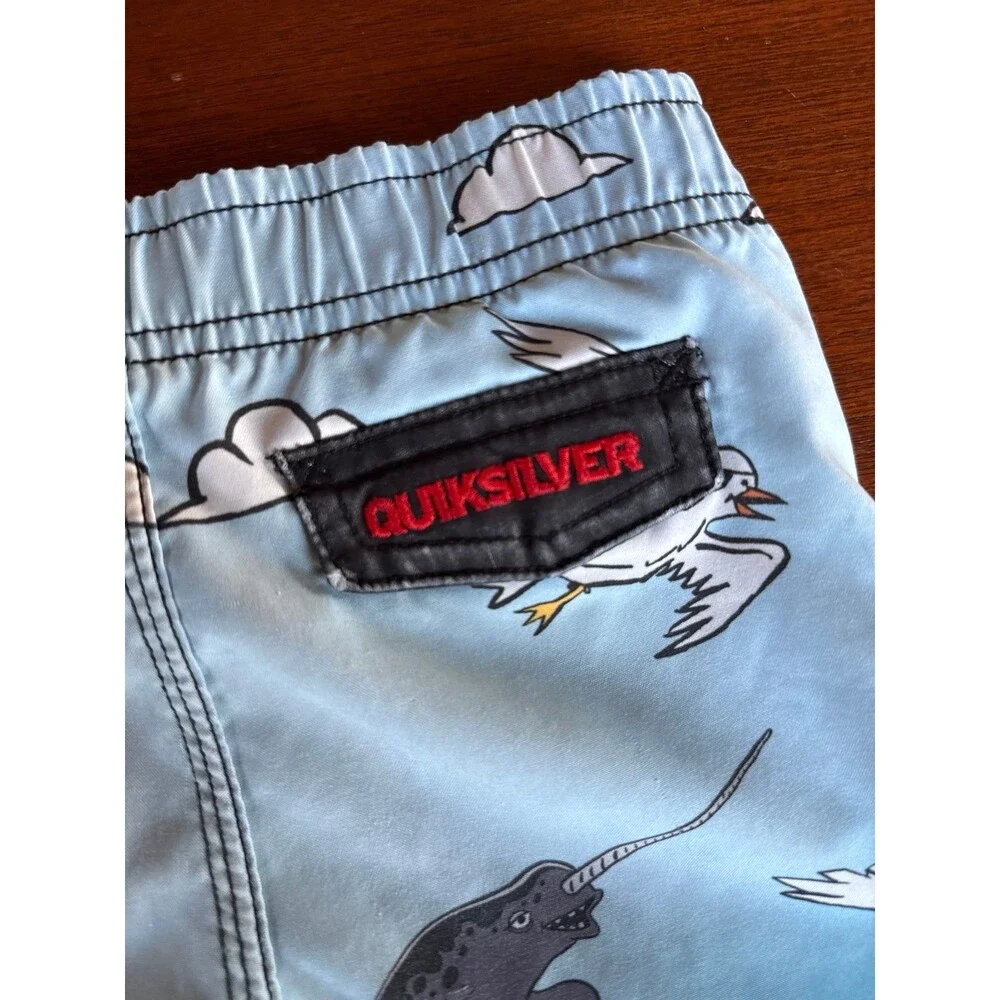 QUIKSILVER pirate graphic kids board shorts